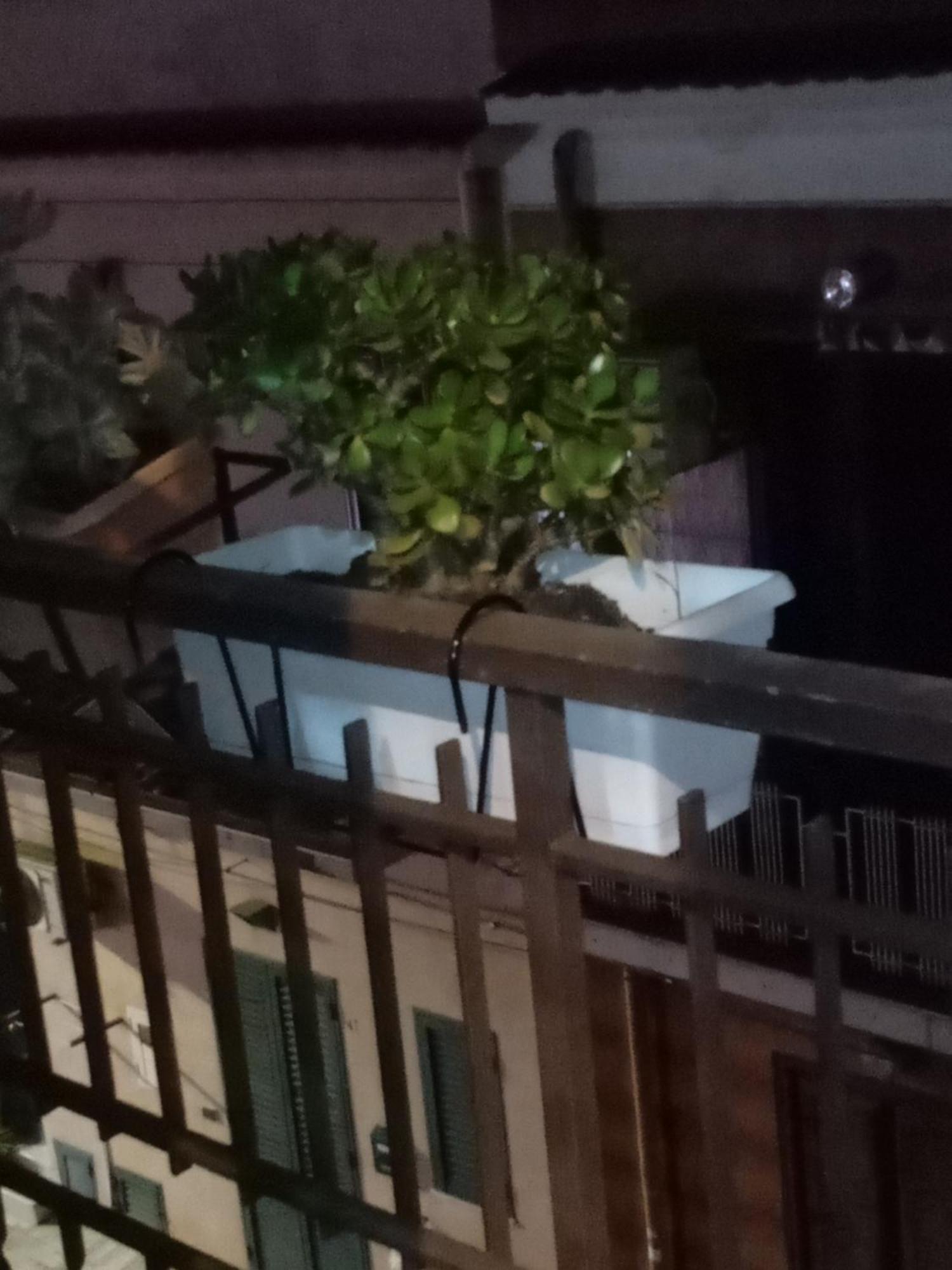 Casa Alice Hotel Isola delle Femmine Bagian luar foto